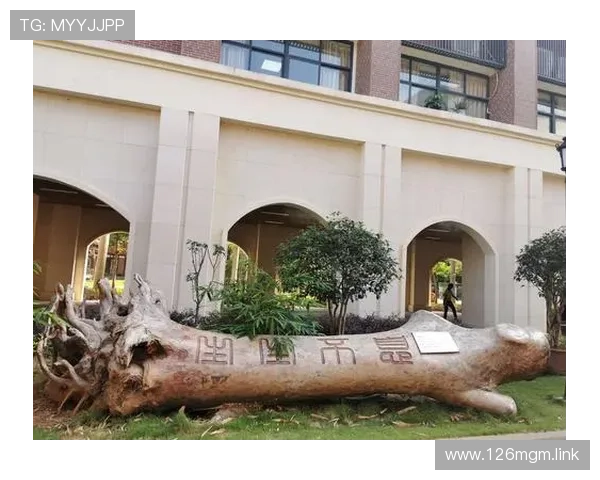 阿米尔汗独家直播畅谈新片与人生感悟